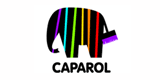 DAW SE - Geschäftsbereich CAPAROL
