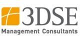 3DSE Management Consultants